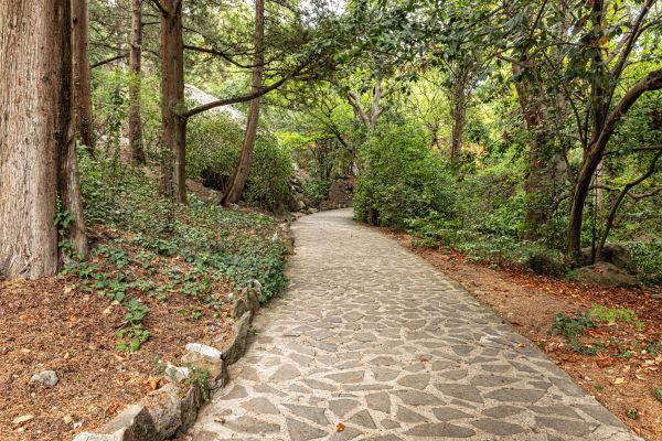 Stone Walkway Repair in Charleston