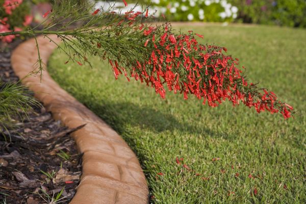 Brick Edging in Charleston