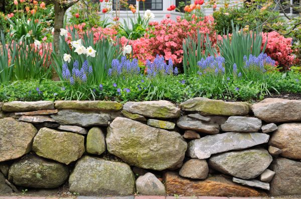Stone Wall Hardscaping in Charleston