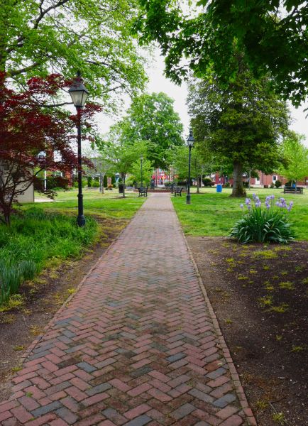 Brick Pathway Repair in Charleston