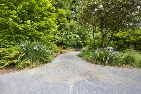 Stone Hardscape Service in Charleston
